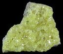 Sulfur Crystals on Matrix - Bolivia #51585-1